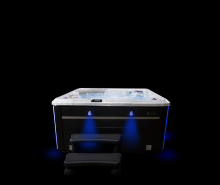 Гидромассажный спа бассейн Hydropool Self Cleaning 670 Platinum